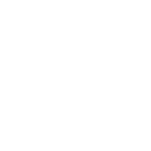 stretching cat white transparent