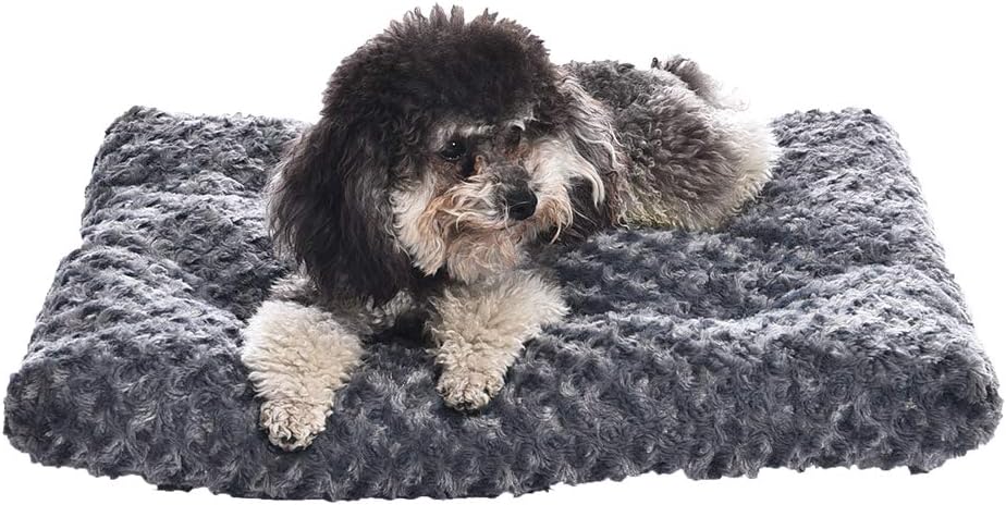 Amazon Basics washable cat bed and crate pad for simple easy-clean indoor resting
