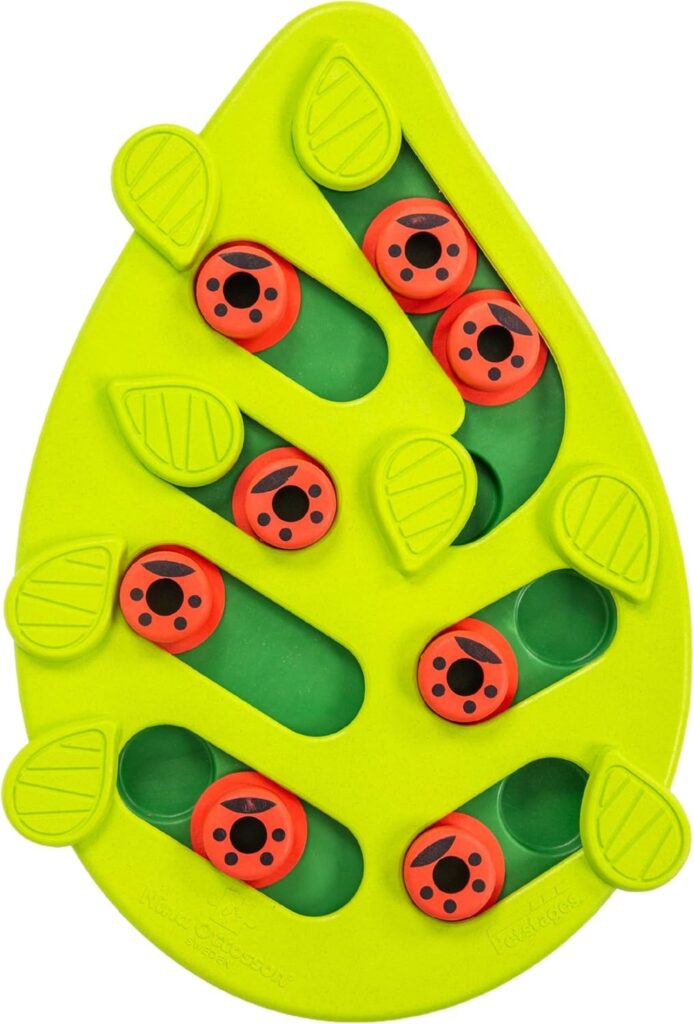 Best Cat Toys for Indoor Cats Cat puzzle toy designed for treat hiding, pawing, and mental enrichment