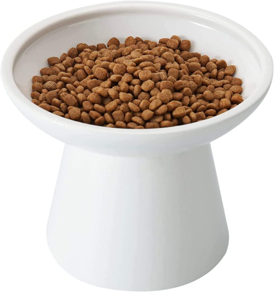 CEEFU extra wide elevated ceramic cat bowl for comfortable feeding