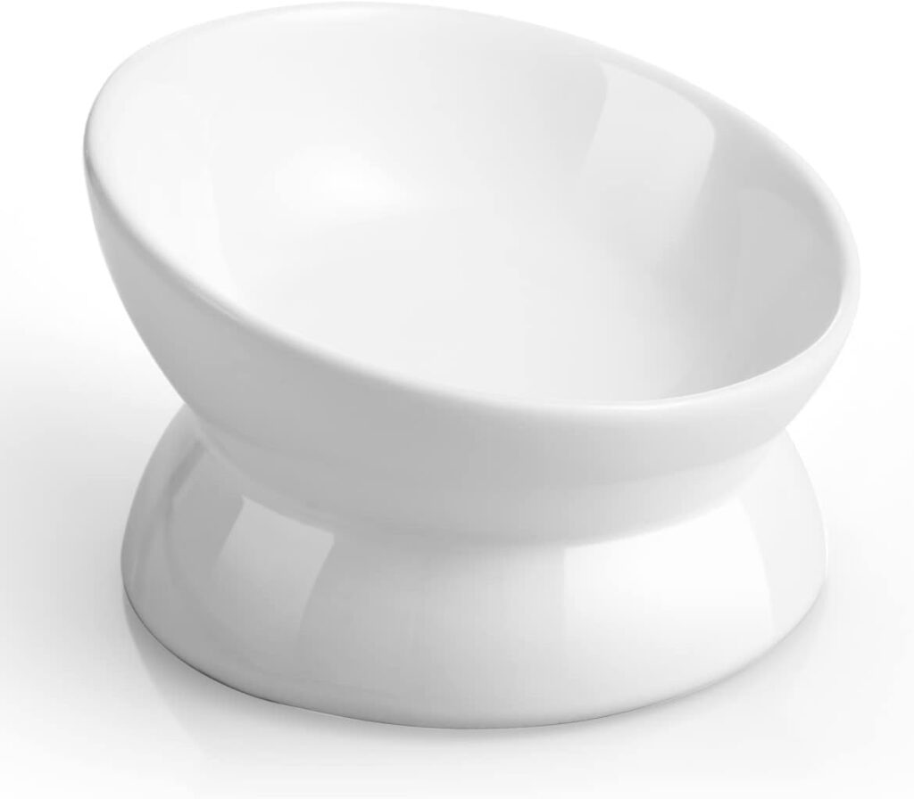 LoeJan elevated ceramic cat food bowl for a stable feeding setup