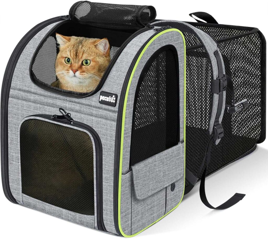 Best Cat Carriers for Vet Visits pecute expandable cat backpack carrier