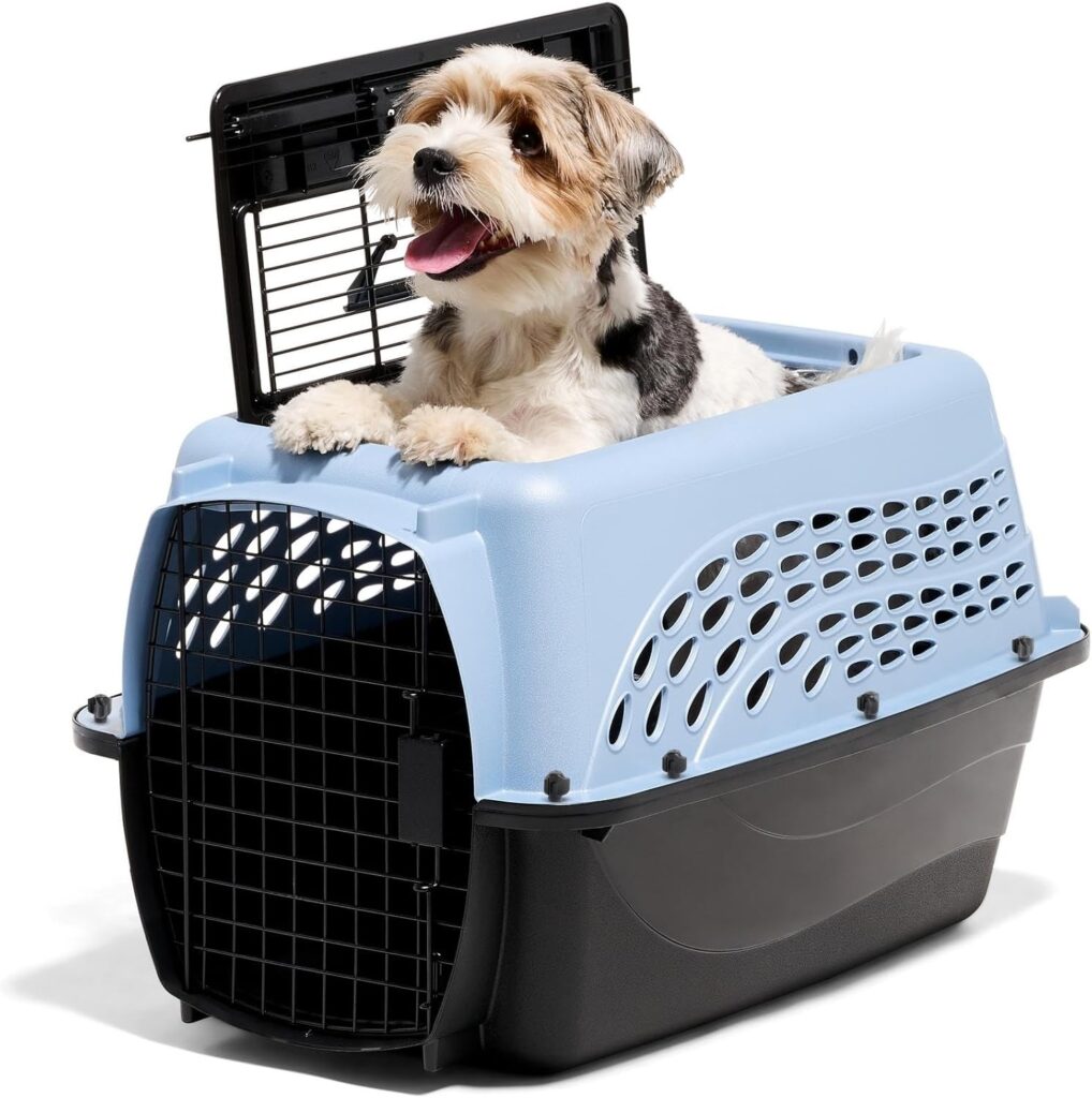 Best Cat Carriers for Vet Visits petmate two door top load pet kennel