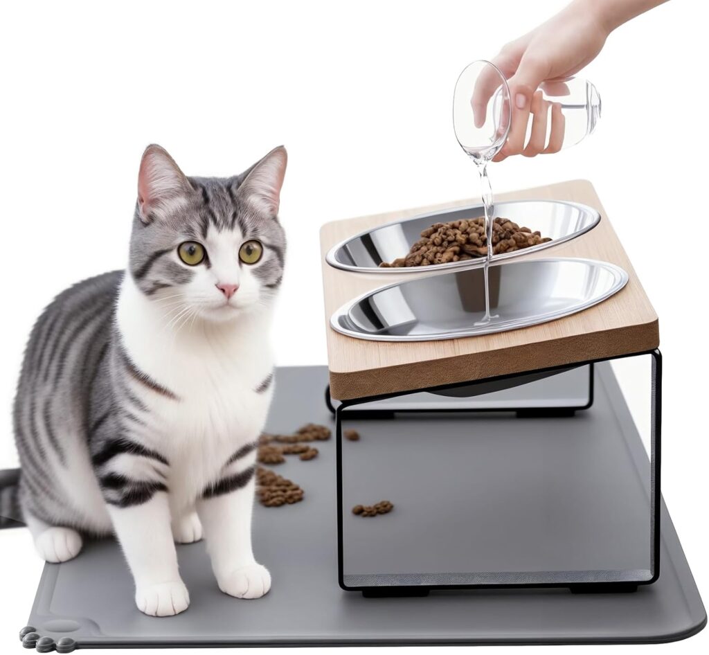 Summark elevated cat bowls with food mat for messy eaters