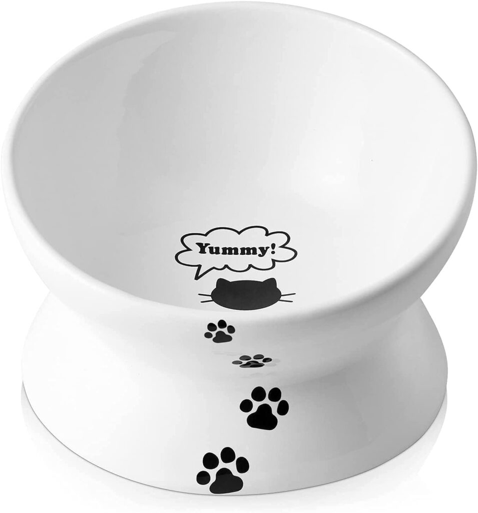 Y YHY tilted raised cat food bowl for easier access to food