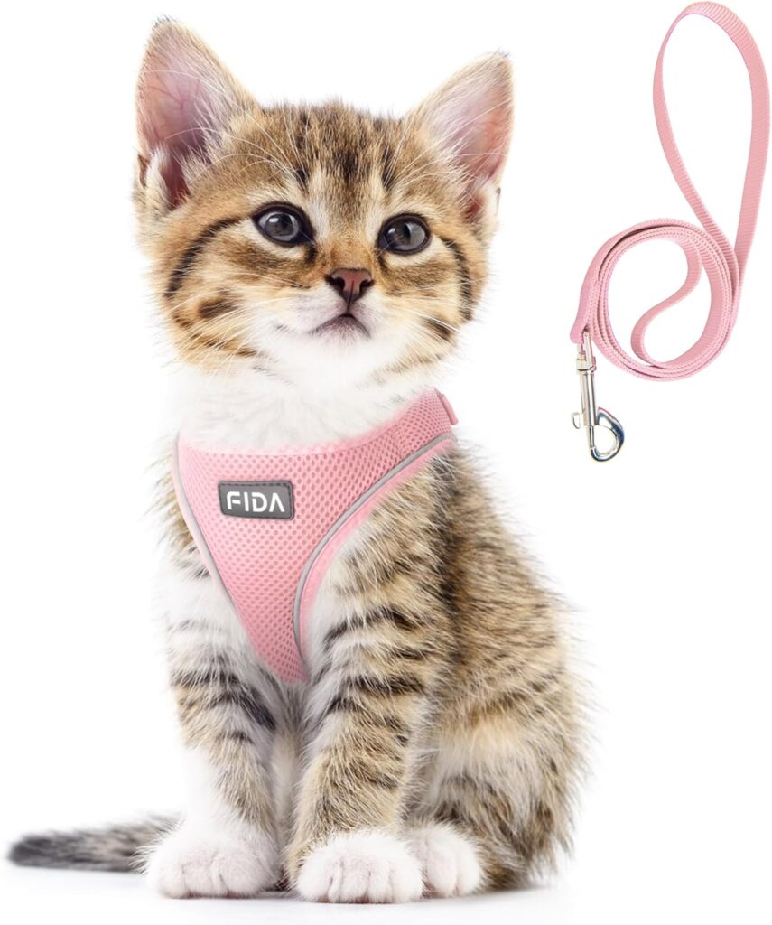 Fida cat harness and leash set for kittens and petite cats