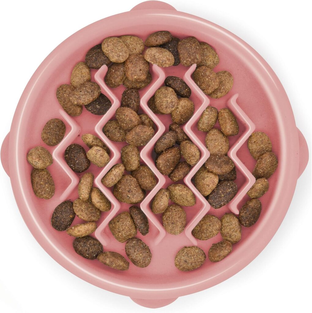 Outward Hound Fun Feeder Slo Bowl Outward Hound Fun Feeder Slo Bowl with shallow wave pattern for cats that eat too fast