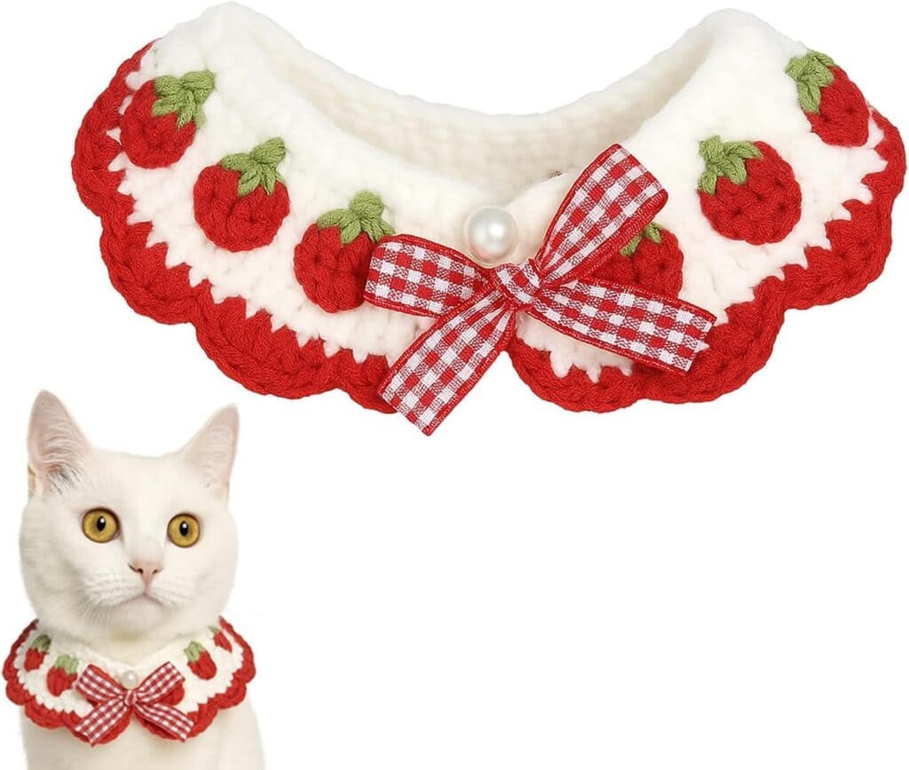 Ready-made crochet neck warmer for a supervised cat photo session