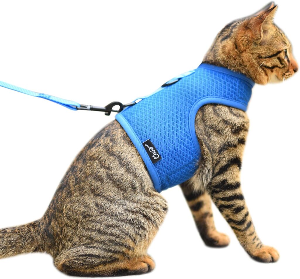 Vest-Style Cat Harness and Leash Set Vest-style cat harness and leash set with breathable mesh for beginner cats